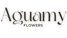 Aguamy Flowers